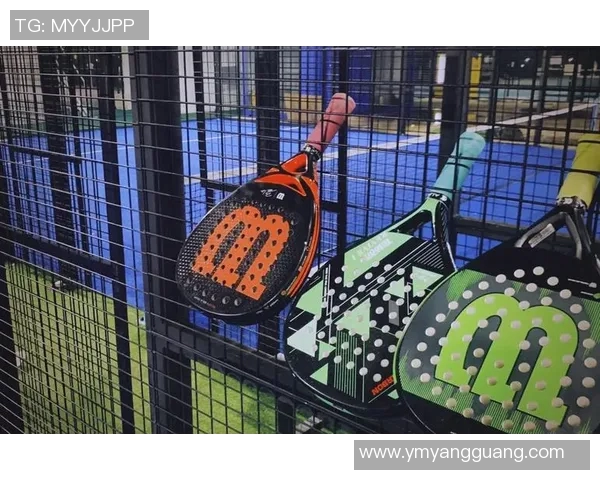 球类运动的魅力与发展趋势探索：从传统到创新的跨时代变革