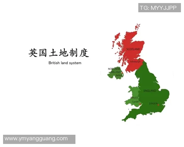 英超球队人数限制制度解析及影响分析 英超球队人数限制制度解析及影响分析