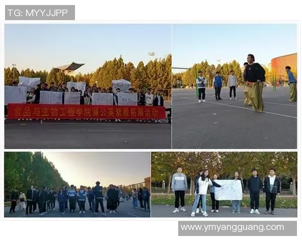 南京网球队心理素质分析与提升策略研究报告 南京网球队心理素质分析与提升策略研究报告